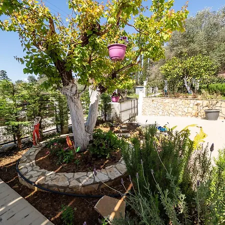 Olea Luxury Notos