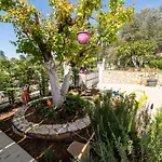 Olea Luxury Notos